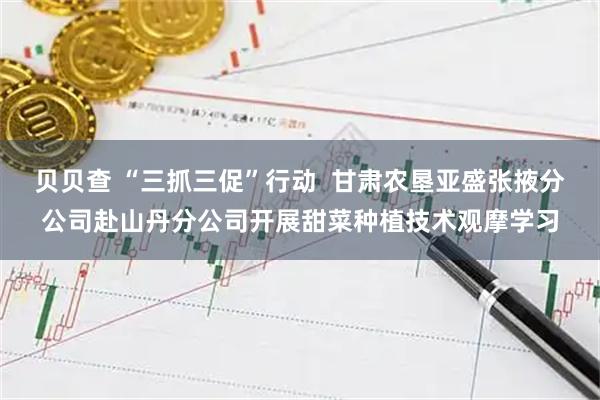 贝贝查 “三抓三促”行动  甘肃农垦亚盛张掖分公司赴山丹分公司开展甜菜种植技术观摩学习
