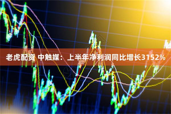 老虎配资 中触媒：上半年净利润同比增长3152%