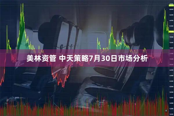美林资管 中天策略7月30日市场分析